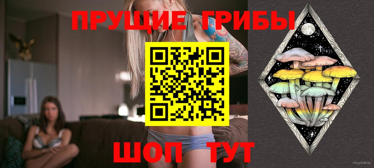 Морозовск  Псилоцибиновые грибы ЛСД  Вход с VPN  Псилоцибиновые грибы Psilocybine cubensis 